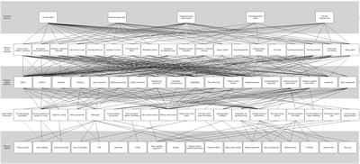 A Systems Approach to Performance Analysis in Women’s Netball: Using Work Domain Analysis to Model Elite Netball Performance